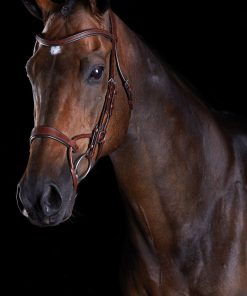 Collegiate ComFiTec Training Bridle in brown leather on a dark bay horse