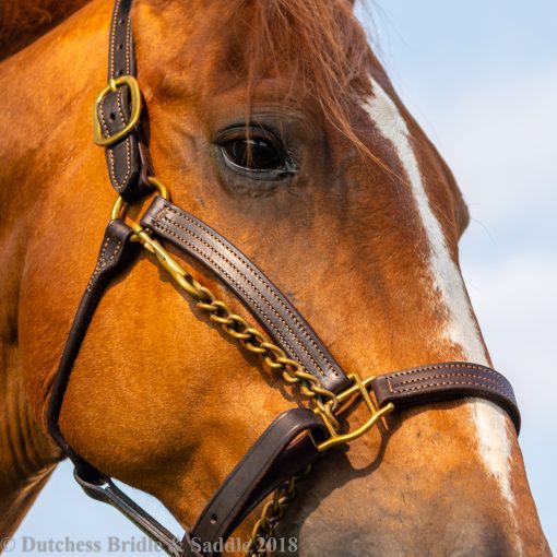 FinnTack American Quality Leather Halter on a chestnut horse