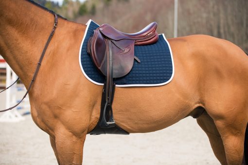 Horze River AP saddle pad, Peacock navy blue with white binding on a buckskin horse