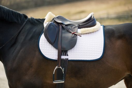 Horze River AP saddle pad white with peacock navy blue binding