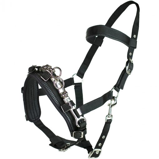 Lunging Cavesson black