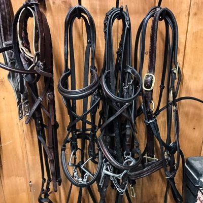 How to clean moldy bridles