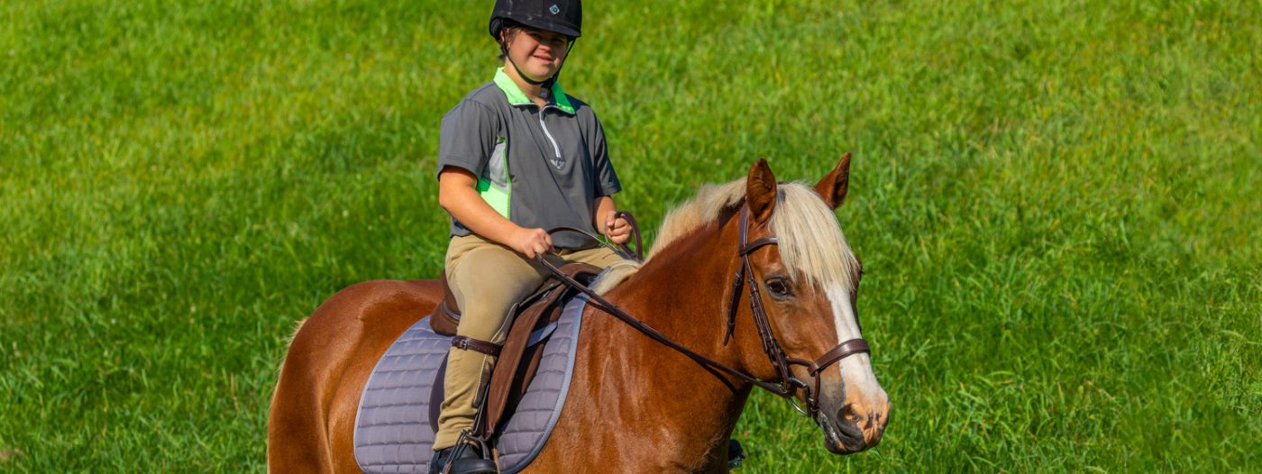 Thorowgood AP saddle with Halflinger pony and rider
