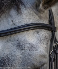 Collegiate Padded Raised Curved Browband on a gray horse