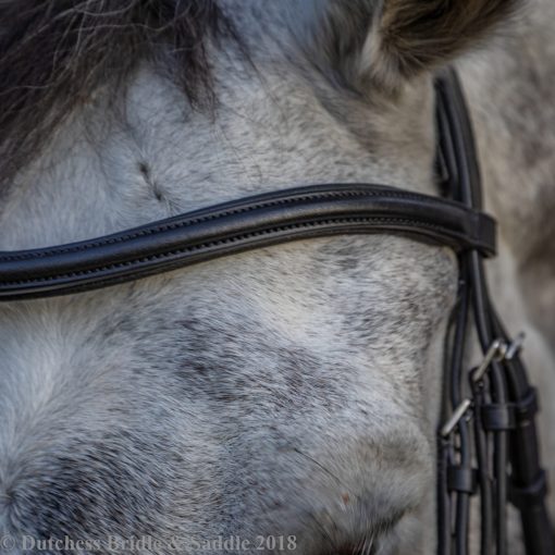 Collegiate Padded Raised Curved Browband on a gray horse