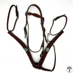 Western Bridle and Breastplate Turquoise 0153