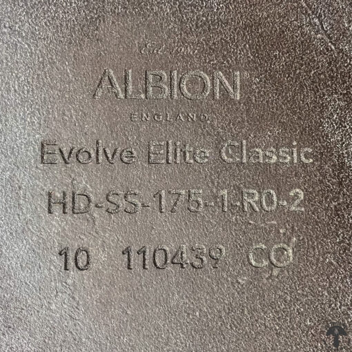 Albion Evolve Elite Classic DEMO Serial